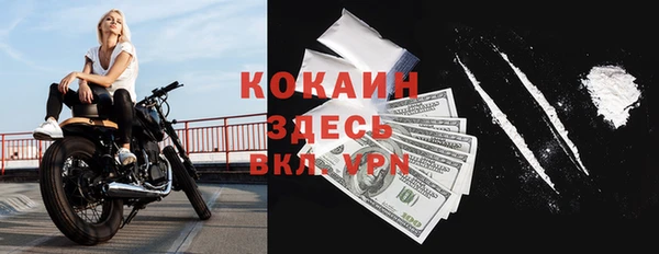СК Зеленокумск