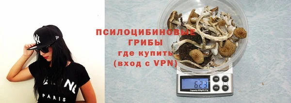 гашик Зеленодольск
