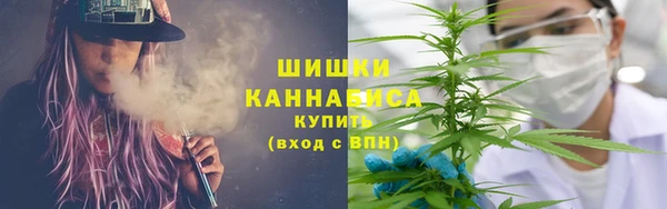 СК Зеленокумск