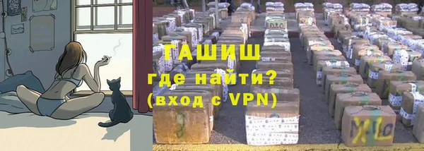 СК Зеленокумск