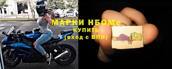 СК Зеленокумск